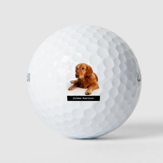Golden Retriever Golfballen (Voorkant)