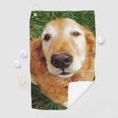 Golden Retriever Golfhanddoek (Insitu)