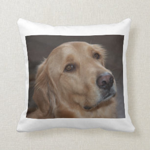Golden Retriever gooit kussen