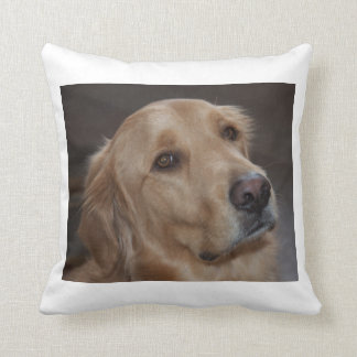 Golden Retriever gooit kussen