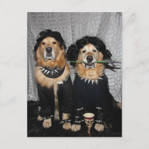Golden Retriever Gothic Style Briefkaart