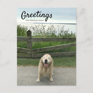 Golden Retriever Greetings uit Mackinac Island Briefkaart