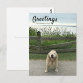 Golden Retriever Greetings uit Mackinac Island Briefkaart (Voorkant / Achterkant)