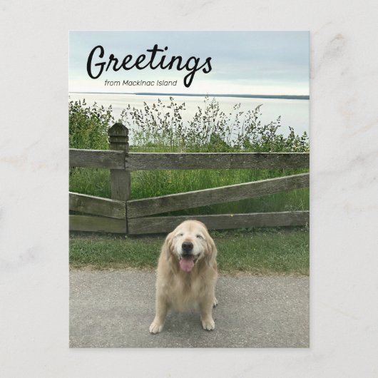 Golden Retriever Greetings uit Mackinac Island Briefkaart (Voorkant)