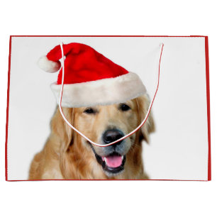 Golden Retriever Groot Cadeauzakje