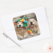 Golden Retriever Groovy Stickers (Envelop)