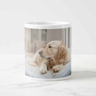 Golden Retriever Grote Koffiekop