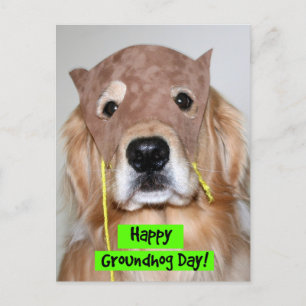 Golden Retriever Groundhog Day Briefkaart