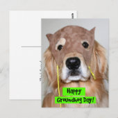 Golden Retriever Groundhog Day Briefkaart (Voorkant / Achterkant)