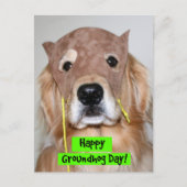 Golden Retriever Groundhog Day Briefkaart (Voorkant)