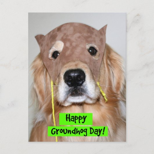Golden Retriever Groundhog Day Briefkaart (Voorkant)