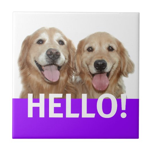Golden Retriever Hallo Tegeltje (Voorkant)