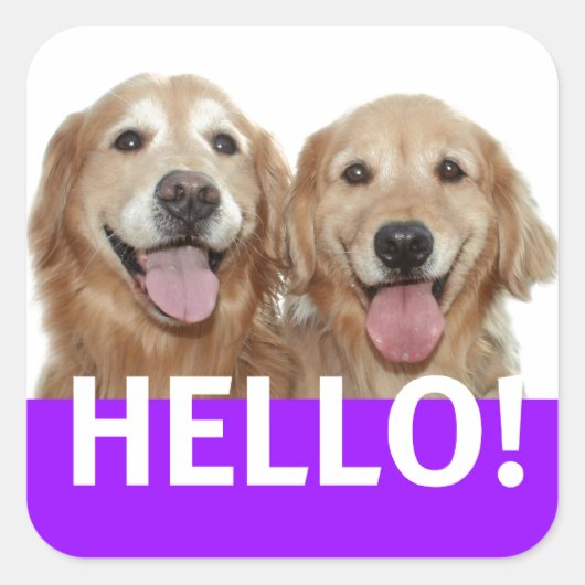 Golden Retriever Hallo Vierkante Sticker (Voorkant)