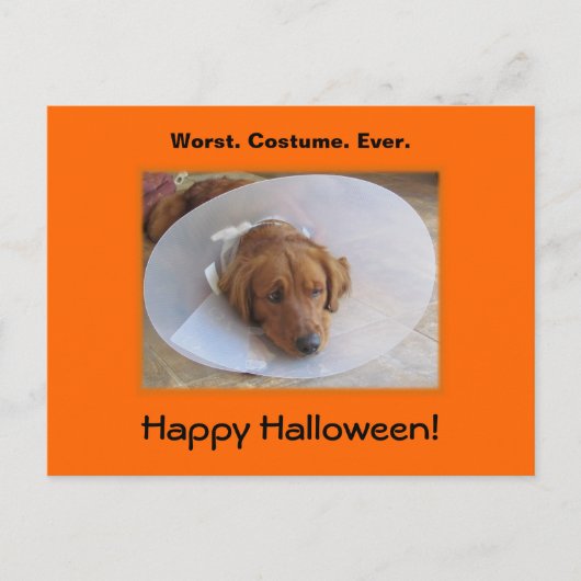 Golden Retriever Halloween Briefkaart (Voorkant)