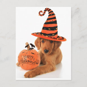 Golden Retriever Halloween Design Briefkaart