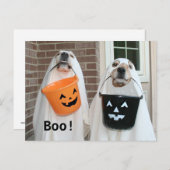 Golden Retriever Halloween Ghosts Briefkaart (Voorkant / Achterkant)