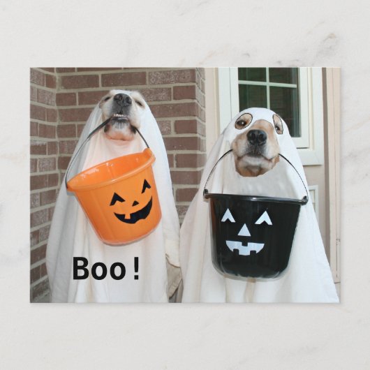 Golden Retriever Halloween Ghosts Briefkaart (Voorkant)