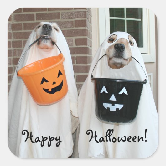 Golden Retriever Halloween Ghosts Vierkante Sticker (Voorkant)