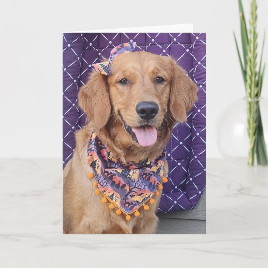 Golden Retriever Halloween greeting card Kaart (Voorkant)