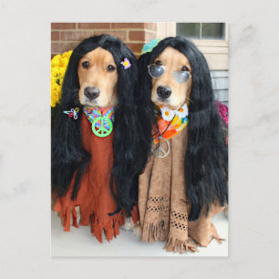 Golden Retriever Halloween Hippie Postcard Feestdagenkaart