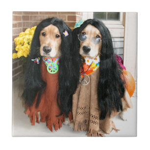 Golden Retriever Halloween Hippie Tegeltje