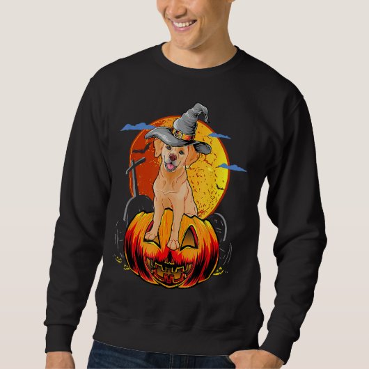Golden Retriever Halloween met pompoenen Pet heks Trui (Voorkant)