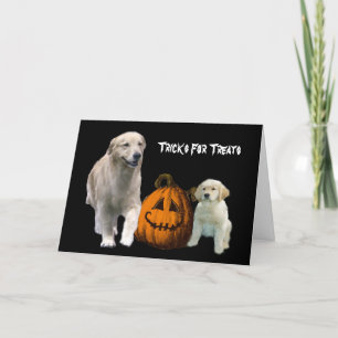 Golden Retriever Halloween Wenskaart Kaart