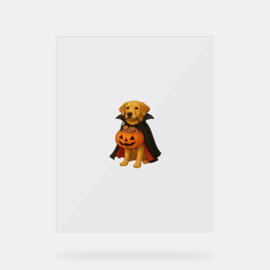 Golden Retriever Halloweenhond met pompoen Snoep Acryl Bord (Voorkant)