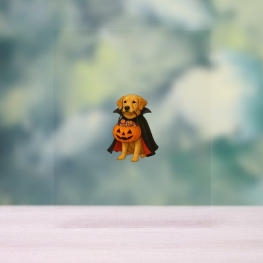 Golden Retriever Halloweenhond met pompoen Snoep Acryl Bord (Neutraal)