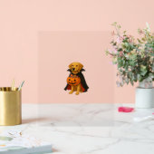 Golden Retriever Halloweenhond met pompoen Snoep Acryl Bord (Huwelijk)