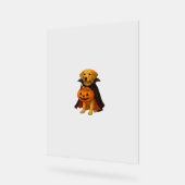Golden Retriever Halloweenhond met pompoen Snoep Acryl Bord (Hoek)