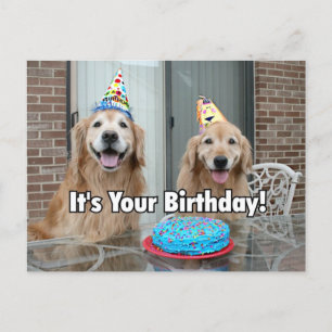 Golden Retriever Happy Birthday Cake Briefkaart