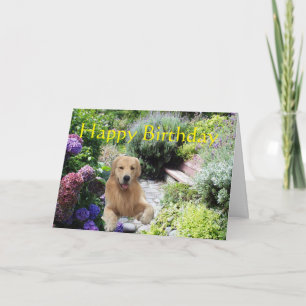 Golden Retriever Happy Birthday Garden Card Kaart