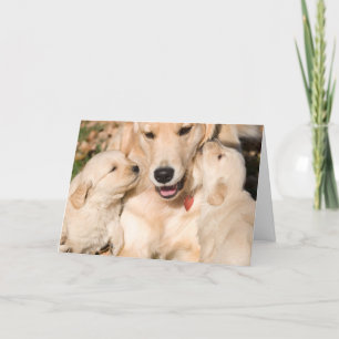 Golden Retriever Happy Moederdag Card Kaart