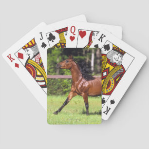 Golden Retriever head 3 deck C - Gepersonaliseerd Pokerkaarten