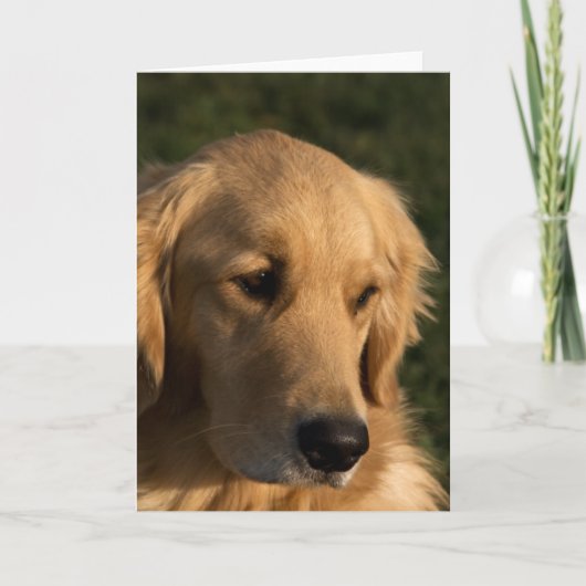 Golden Retriever Head Shot Notitiekaarten (Voorkant)