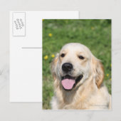 Golden Retriever Headshot 1 Briefkaart (Voorkant / Achterkant)