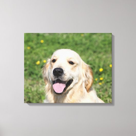 Golden Retriever Headshot 1 Canvas Afdruk (Voorkant)