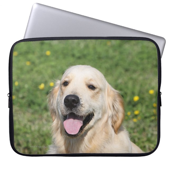 Golden Retriever Headshot 1 Laptop Sleeve (Voorkant)