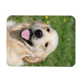 Golden Retriever Headshot 1 Magneet (Horizontaal)