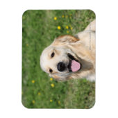 Golden Retriever Headshot 1 Magneet (Verticaal)