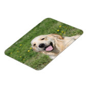 Golden Retriever Headshot 1 Magneet (Linkerzijde)