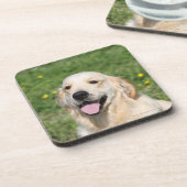 Golden Retriever Headshot 1 Onderzetter (Linkerzijde)