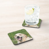 Golden Retriever Headshot 1 Onderzetter (Rechterzijde)