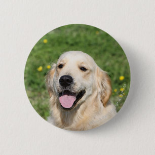 Golden Retriever Headshot 1 Ronde Button 5,7 Cm
