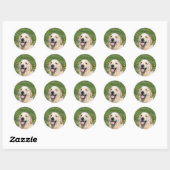 Golden Retriever Headshot 1 Ronde Sticker (Vel)