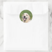 Golden Retriever Headshot 1 Ronde Sticker (Tas)