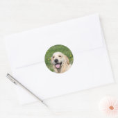 Golden Retriever Headshot 1 Ronde Sticker (Envelop)