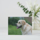 Golden Retriever Headshot 2 Briefkaart (Staand voorkant)