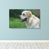 Golden Retriever Headshot 2 Canvas Afdruk (Insitu (Houten vloer))